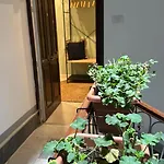 Domus Fysi Gasthuis 4*