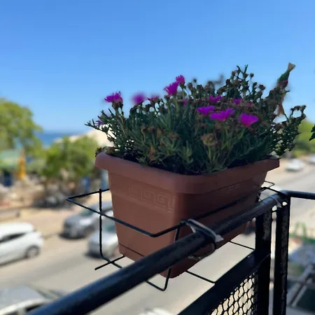 Domus Fysi בית הארחה