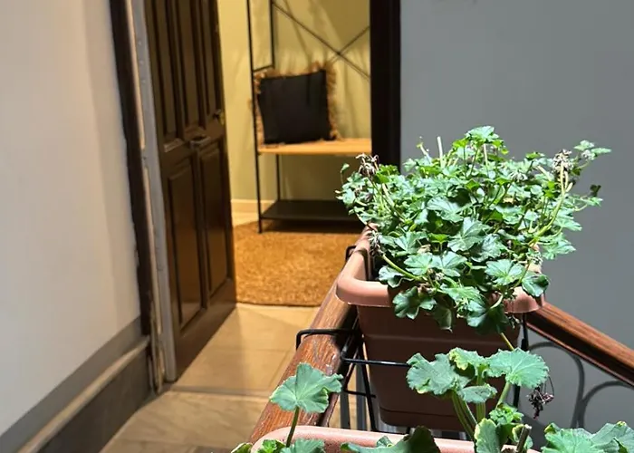 Domus Fysi Affittacamere 4*