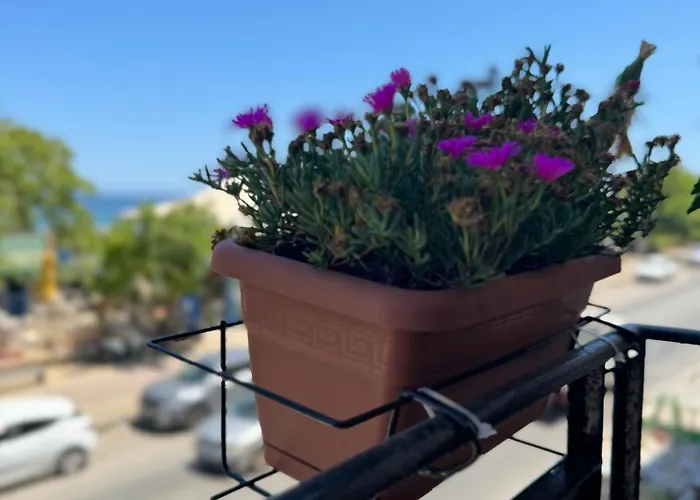 Domus Fysi Affittacamere